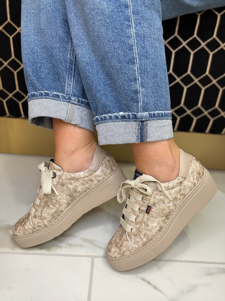 CallagHan 14940 Croc Taupe