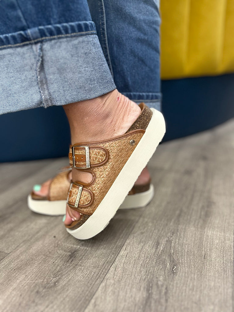 Geniuns Hawaii Camel