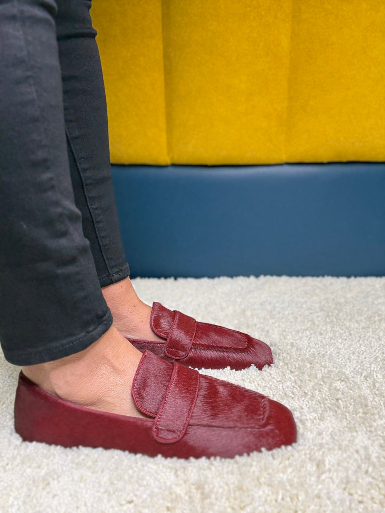 Pedro Anton Bari Burgundy